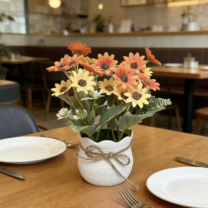 Levendige Potplanten Bloem Arrangement