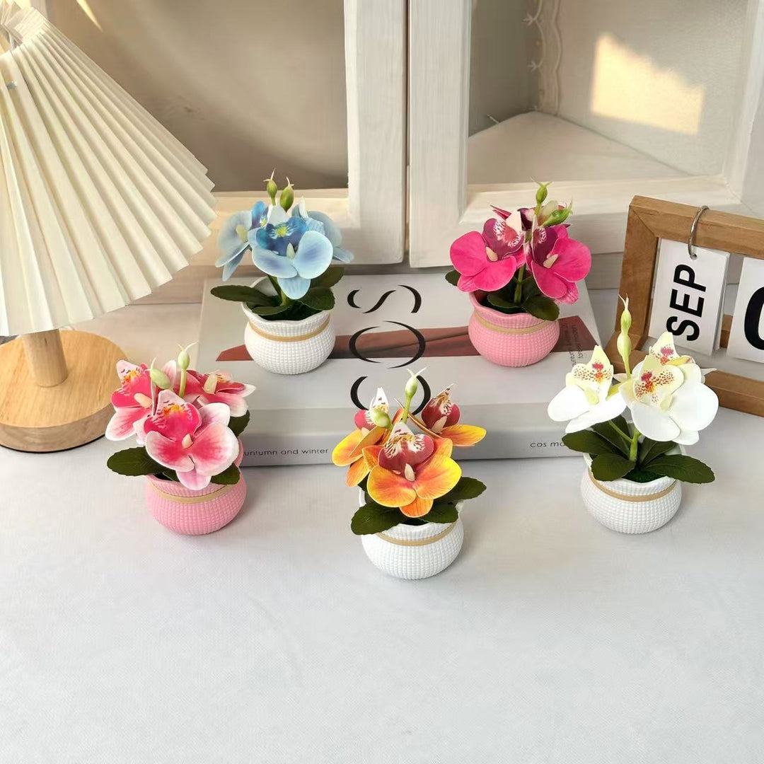 Decoratieve Potted Orchidee Arrangement voor Huishouddecoratie