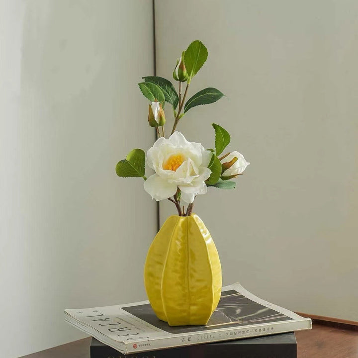 Moderne Decoratieve Ceramic Vaasje