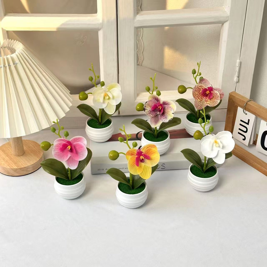 Levensechte Orchidee Bloempot Decoratie