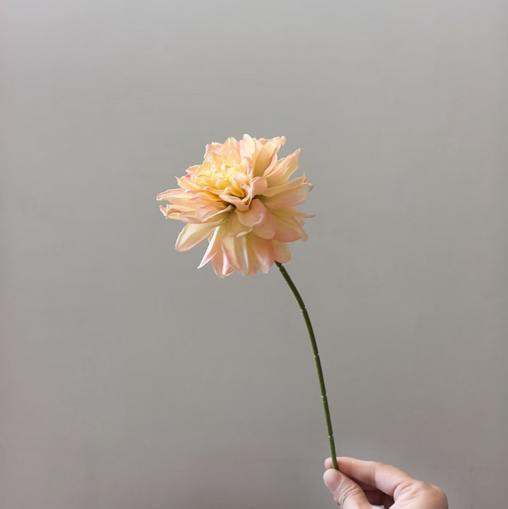 Levensechte Dahlia Steel
