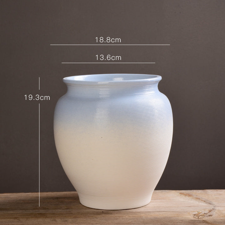 Elegante Textuurlijke Decoratieve Pot