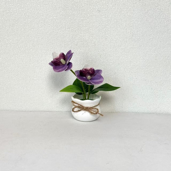 Decoratieve Potplant Orchidee Arrangement voor Binnengebruik