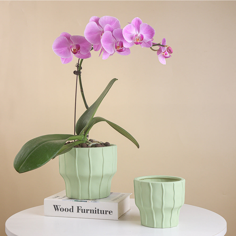 Elegante Plantpot voor Mooie Binnenplant Displays