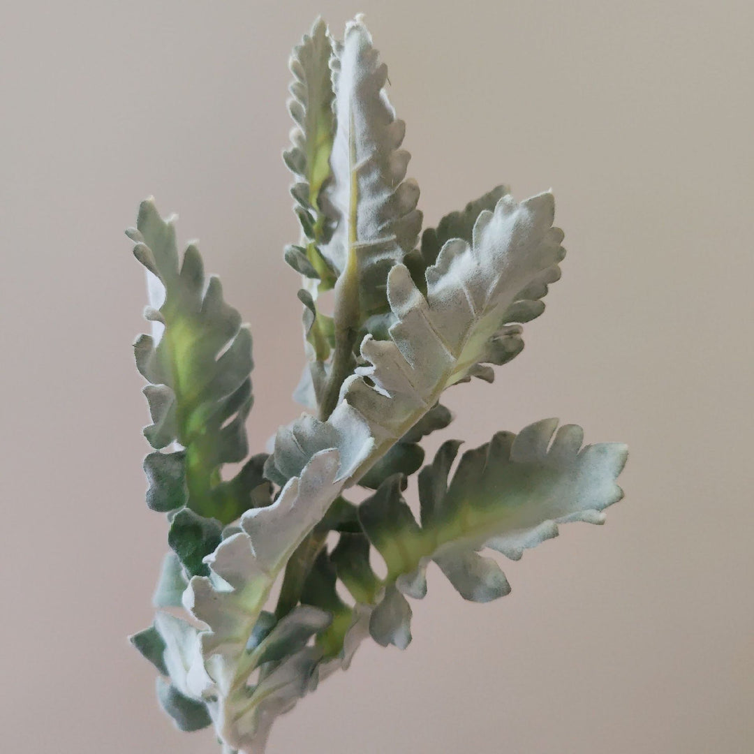Realistische Decoratieve Cactusstam