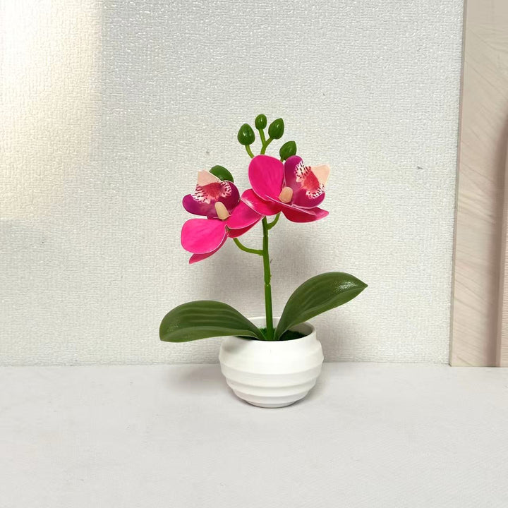 Levensechte Decoratieve Orchidee Plant Arrangement voor Huisdecoratie