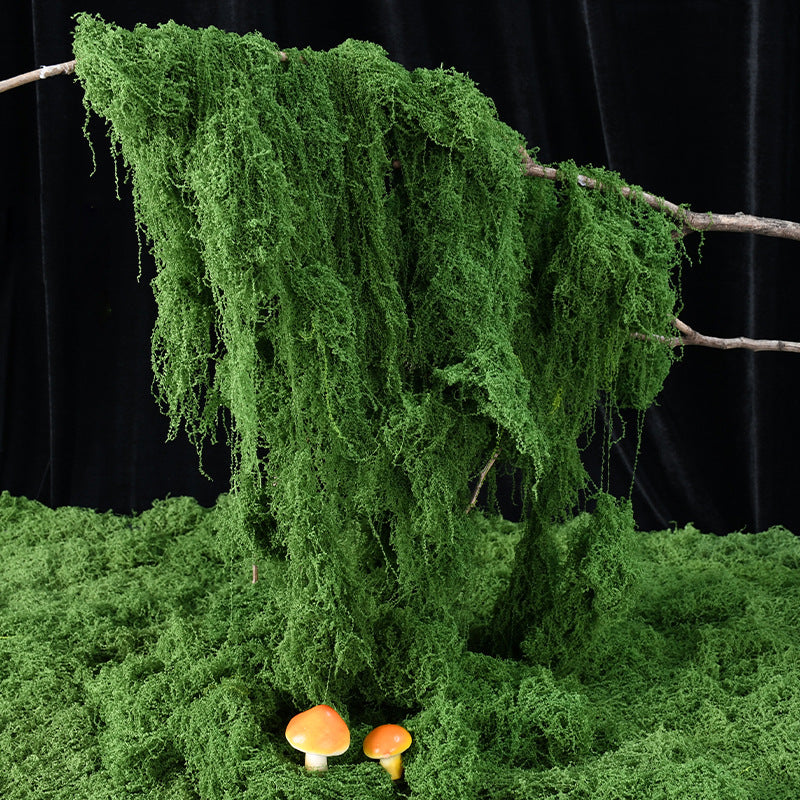 Decoratieve Groene Mos Arrangement