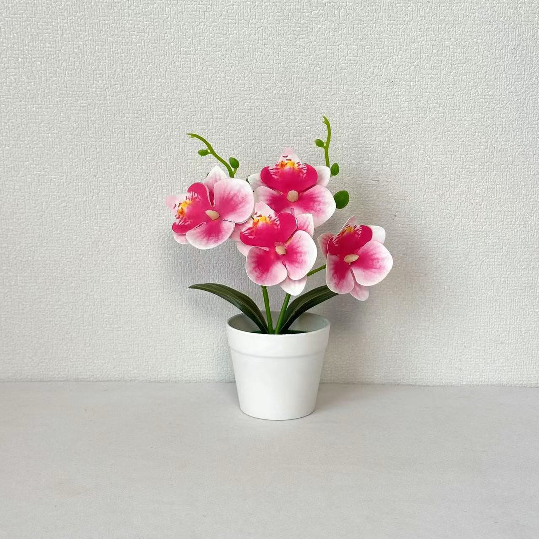 Elegante Decoratieve Orchidee Bloemarrangement voor Huisdecoratie