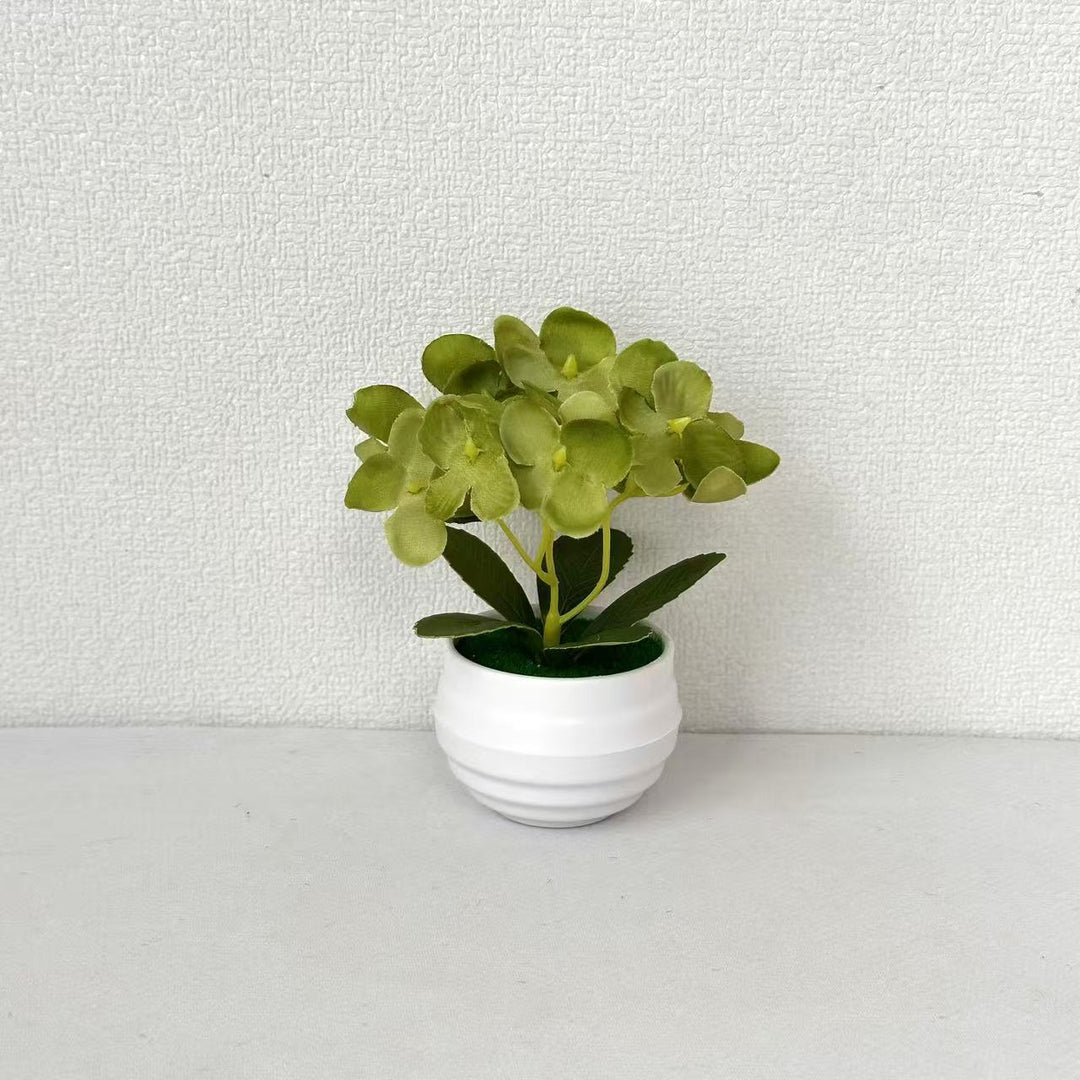 Levensechte Miniatuur Potplant Orchidee