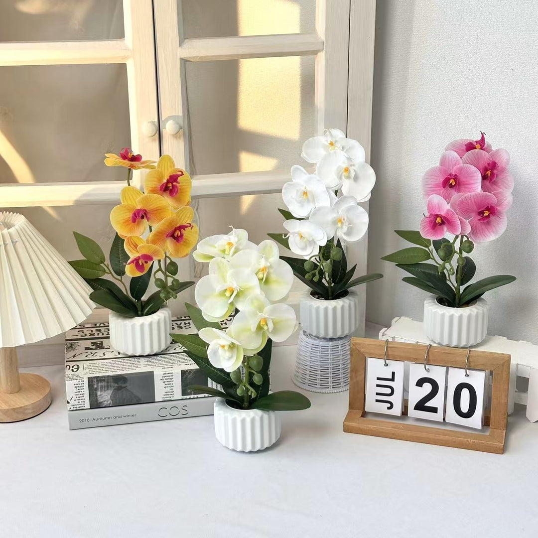 Decoratieve Potplant Orchidee voor Thuisdecoratie Display