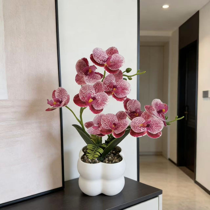 Levensechte Orchidee Bloemen Display
