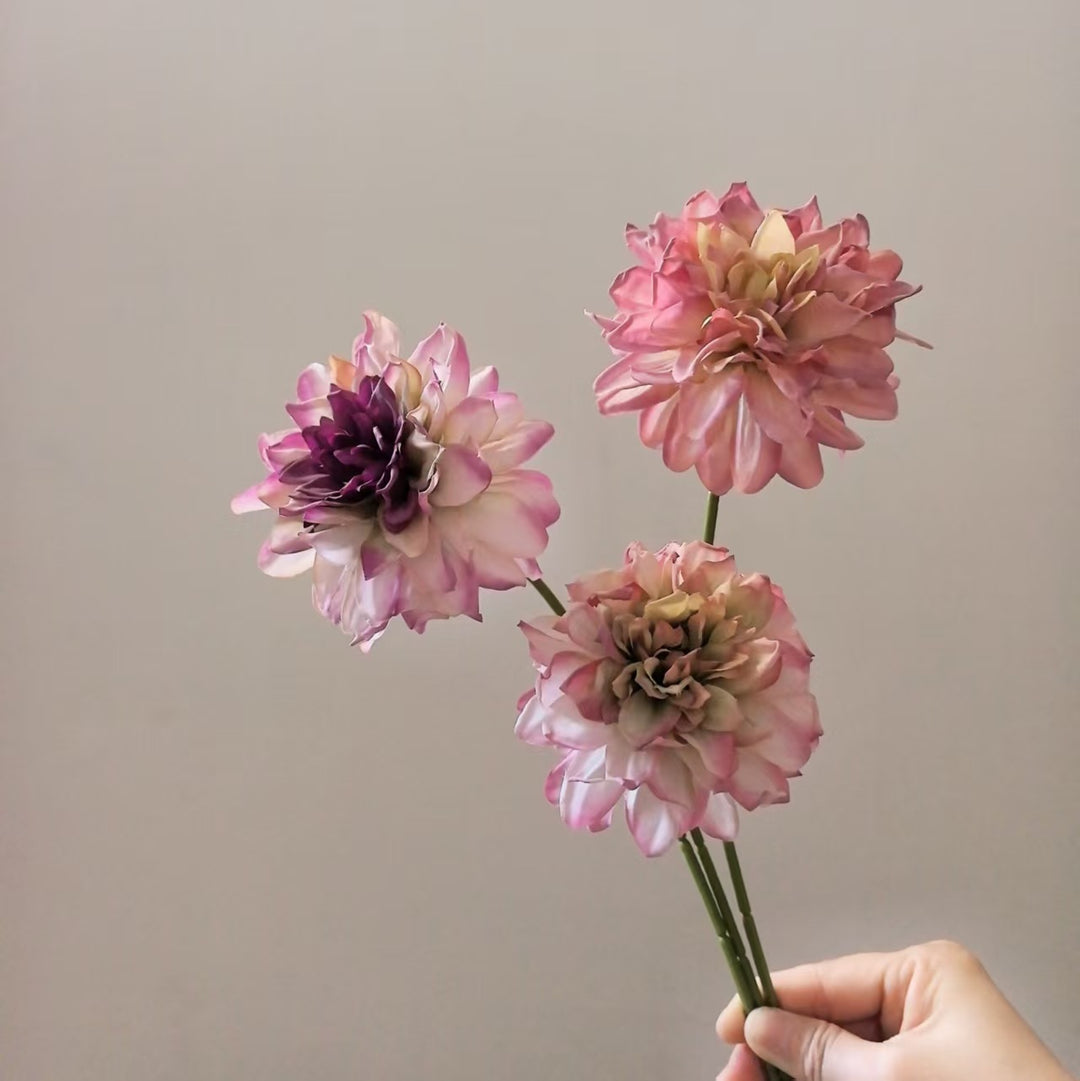 Levensechte Dahlia Steel