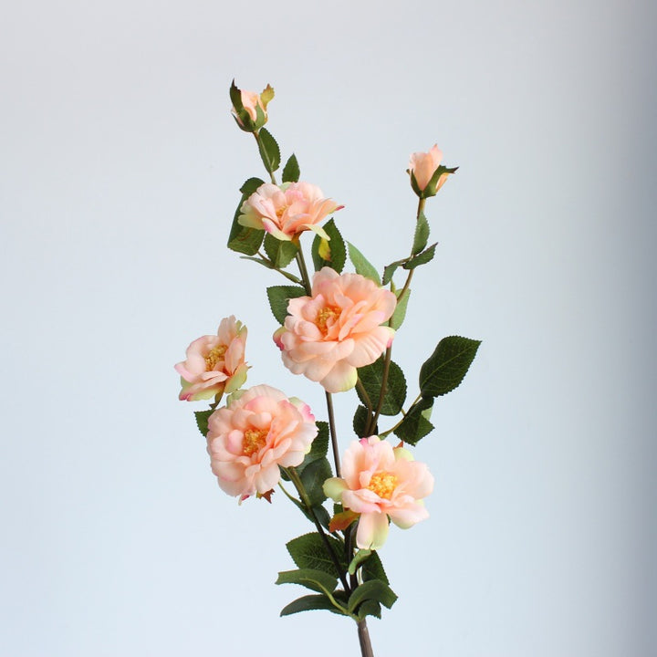 Levensgrote Bloemen Rozensteel
