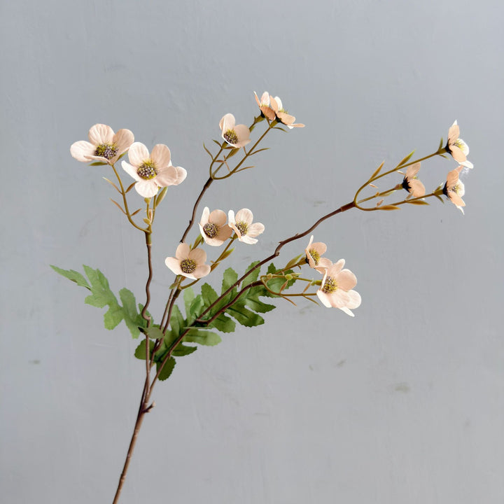 Decoratieve Bloem Stem