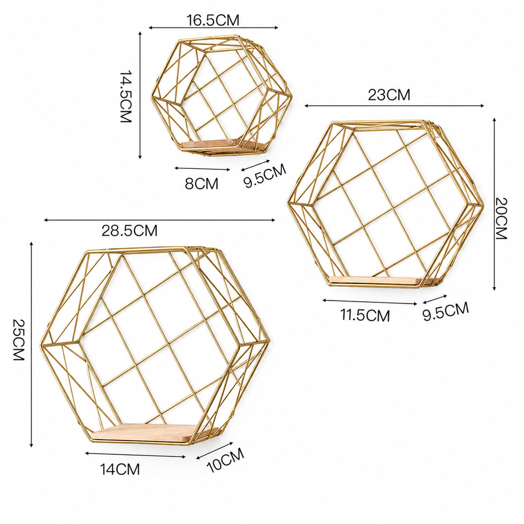 Geometrische Draad Plank Organisator