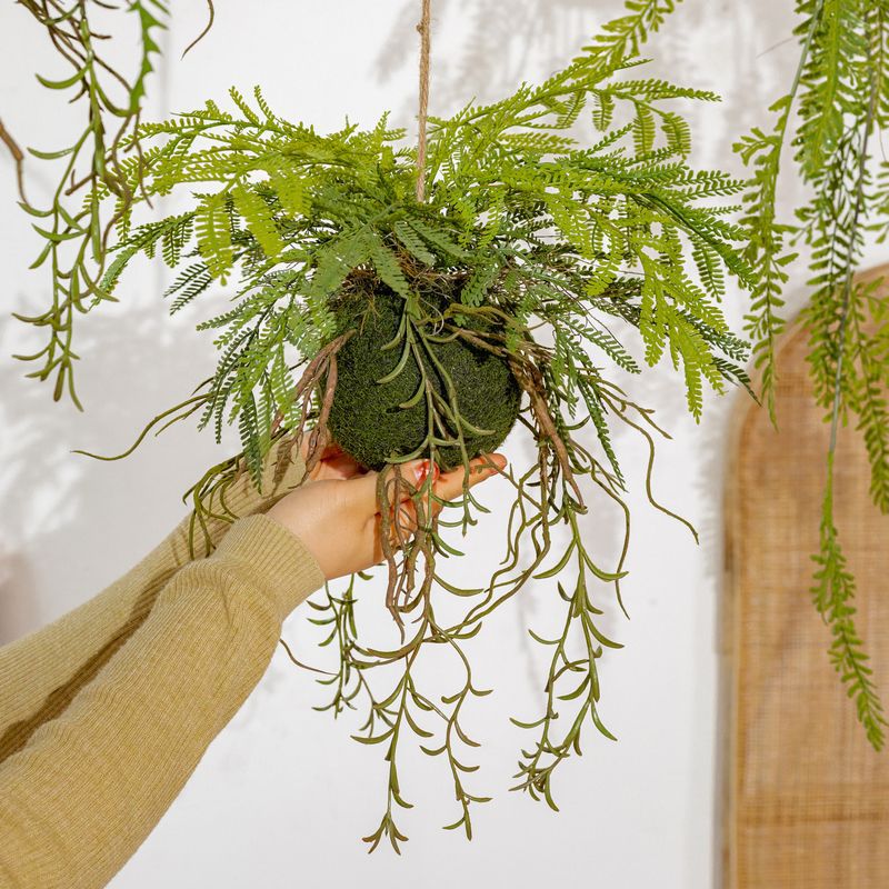 Hangende Varenplant Decoratie