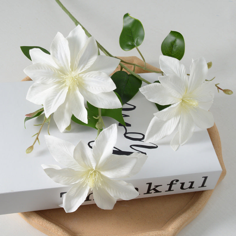 Decoratieve Florale Clematis Stengel
