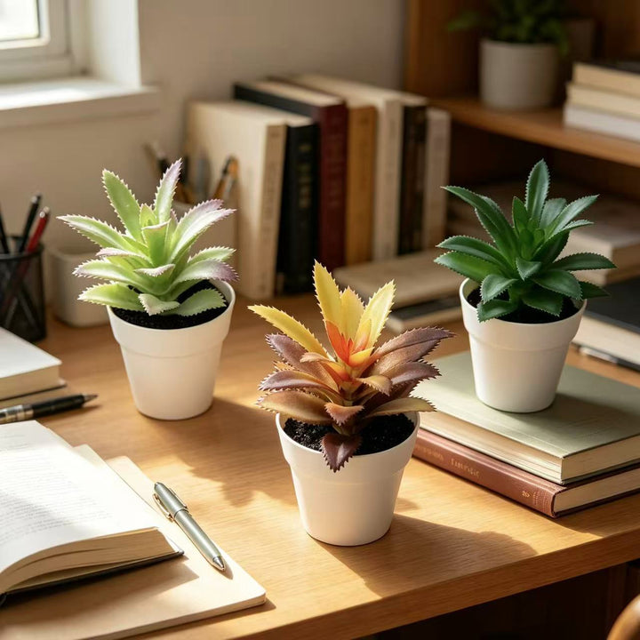 Levensechte Vetplant Decor
