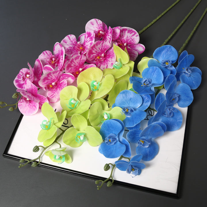 Nepatuur Orchidee Bloemsteel voor Woondecoratie Display