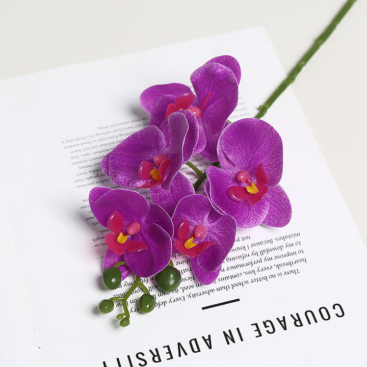Realistische Orchidee Bloem Stem