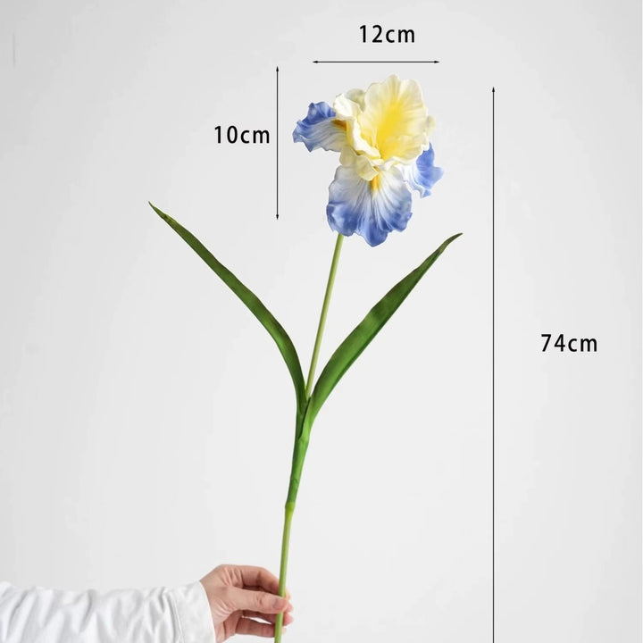 Decoratieve Iris Bloemsteel