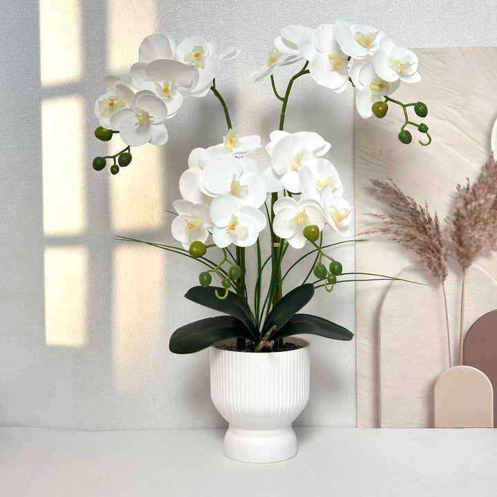 Elegante Neporchidee Arrangement voor Tafeldecoratie