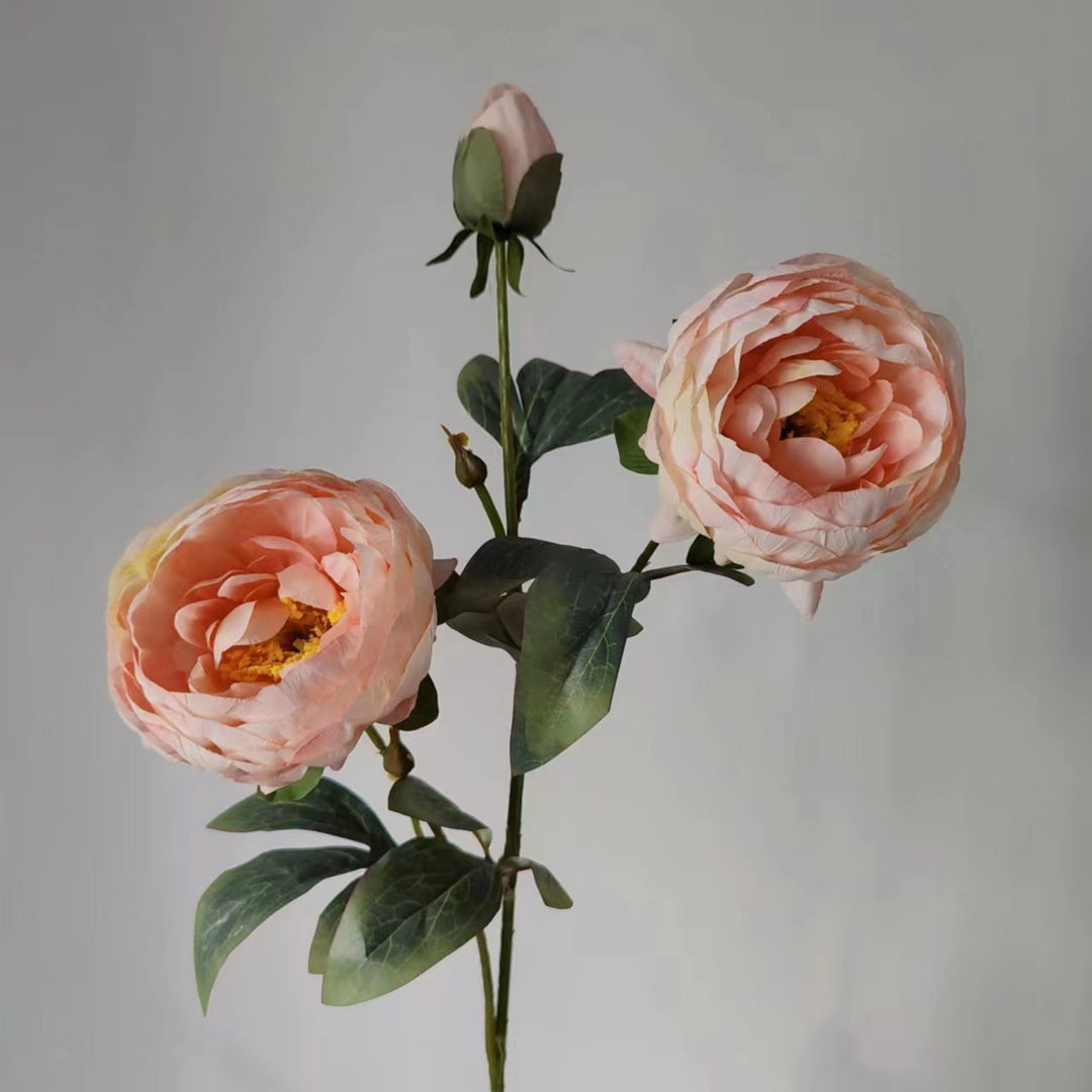 Elegante Pioenbloem Steel