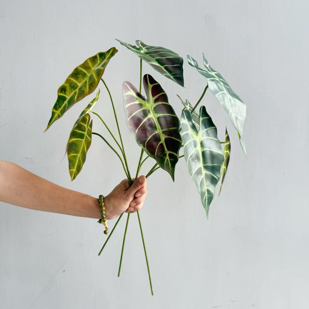 Moderne Decoratieve Plant