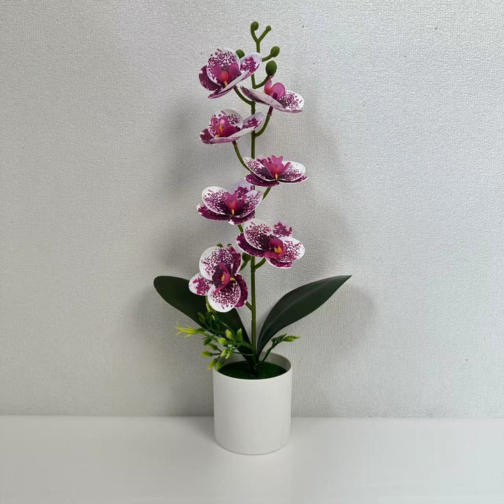 Decoratieve Kunstmatige Orchidee Arrangement 1790480696 voor Binnen Decor