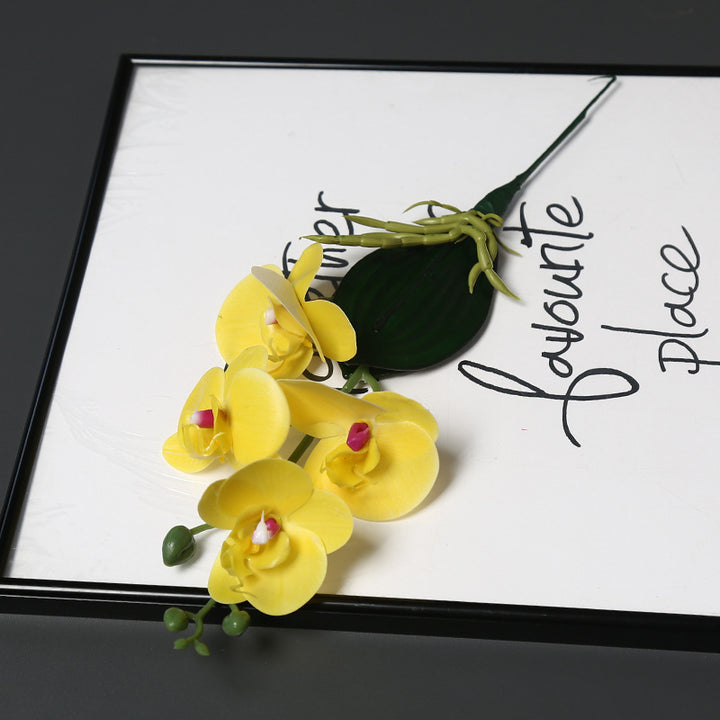 Decoratieve Orchidee Steel voor Thuisdecoratie Display