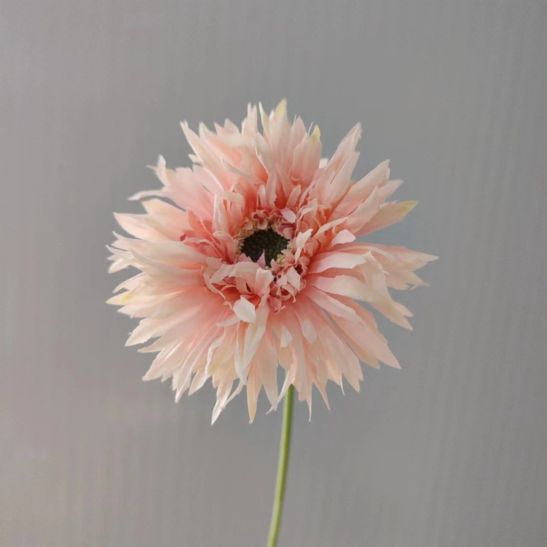 Levensechte Decoratieve Gerbera Bloem Steel