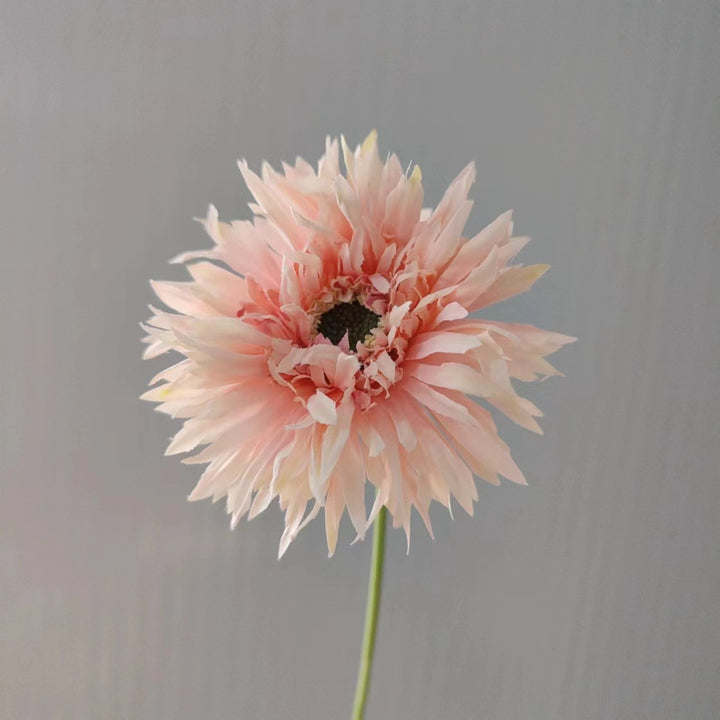 Levensechte Decoratieve Gerbera Bloem Steel