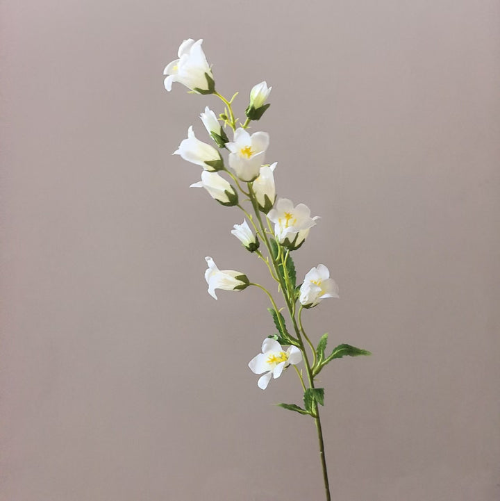 Levensechte Bloemige Orchidee Steel