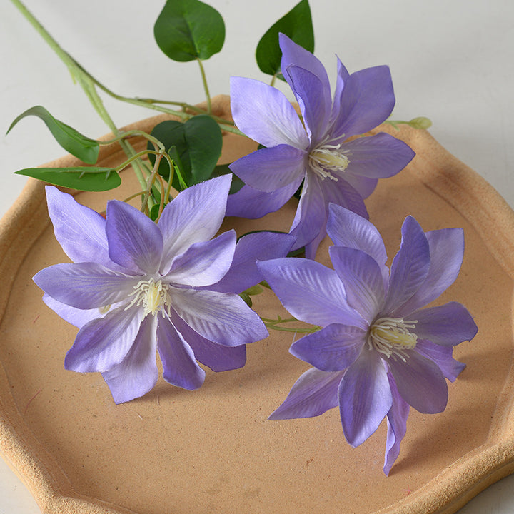 Decoratieve Florale Clematis Stengel