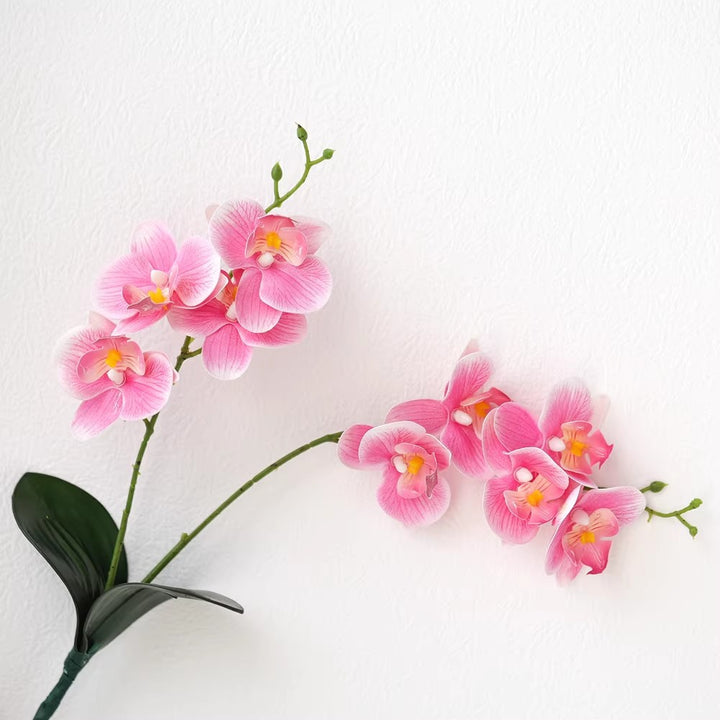 Decoratieve Orchideeënaankleding