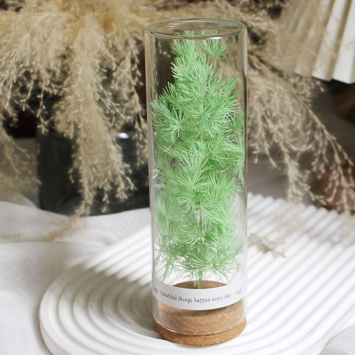 Geconserveerde Bloemdisplay in Elegante Glazen Cilinder