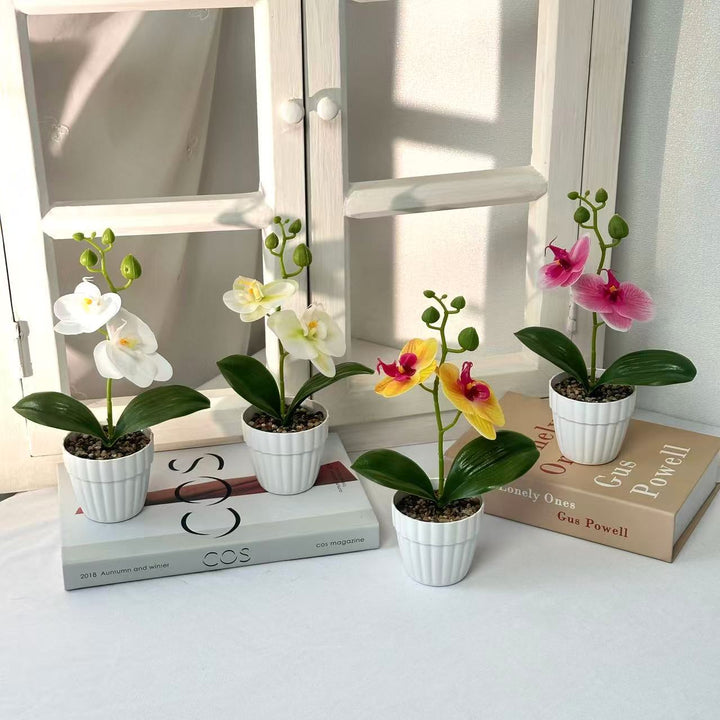 Levensechte Orchideeplant in Decoratieve Keramieken Pot voor Decor