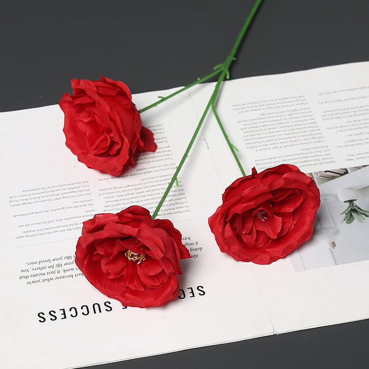 Elegante Pioen Rozen Bloemsteel voor Woondecoratie Tentoonstelling