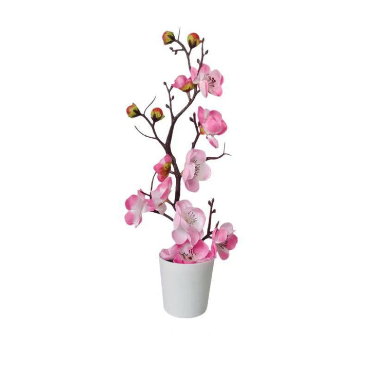 Levens echte Bloeiende Kunstmatige Orchidee Arrangement