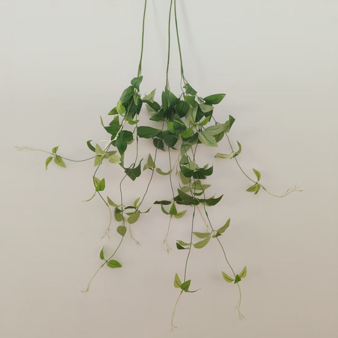 Lifelike Hangplant