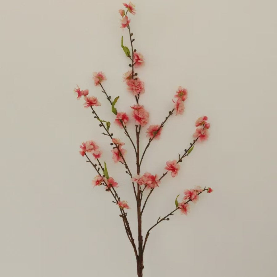 Decoratieve Kersenbloes tak