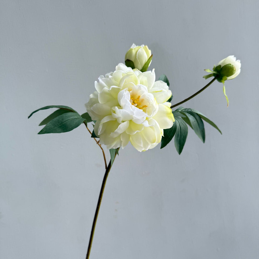 Decoratieve Bloemstukken
