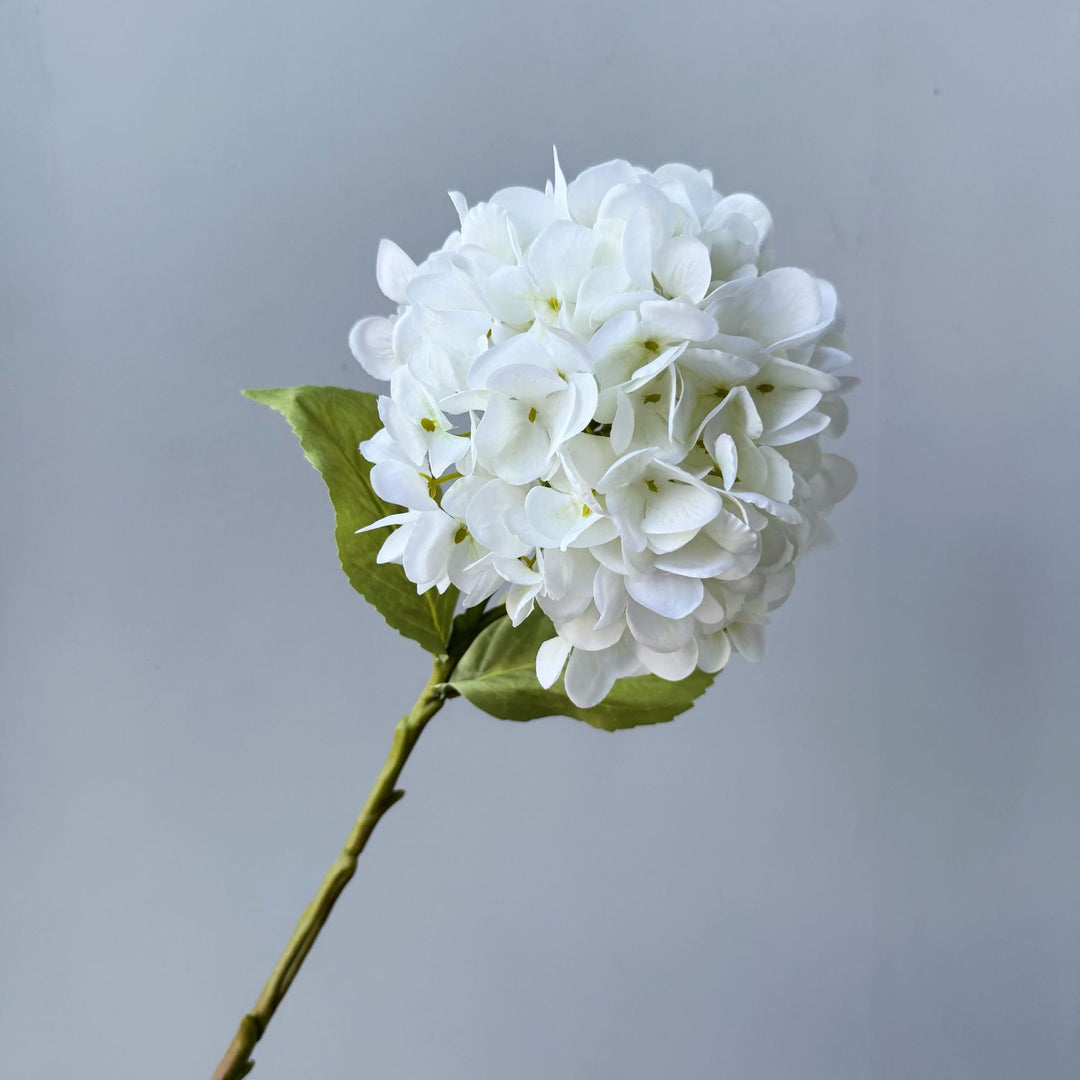 Bloemdecoratief