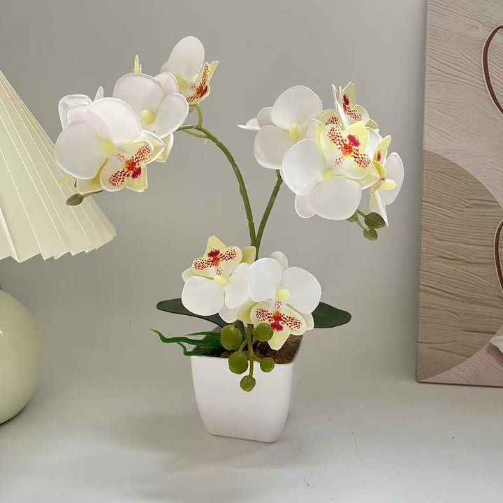 Levensechte Orchidee Plant Arrangement voor Thuisdecoratie