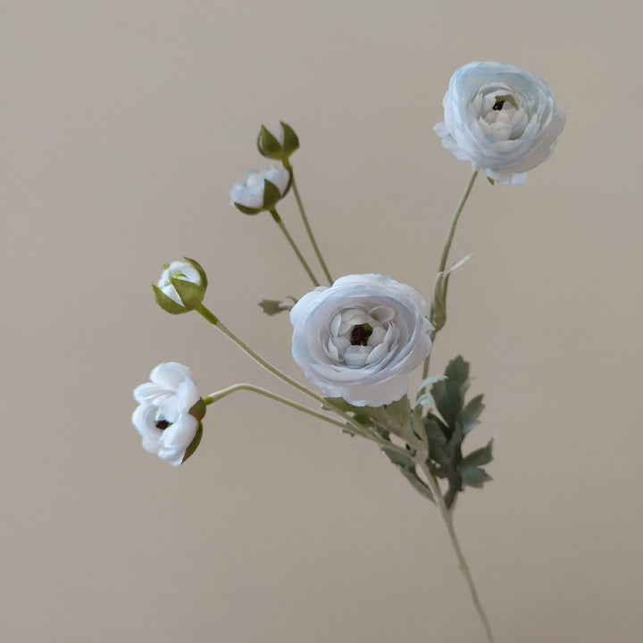 Levensechte Ranunculus Bloemsteel