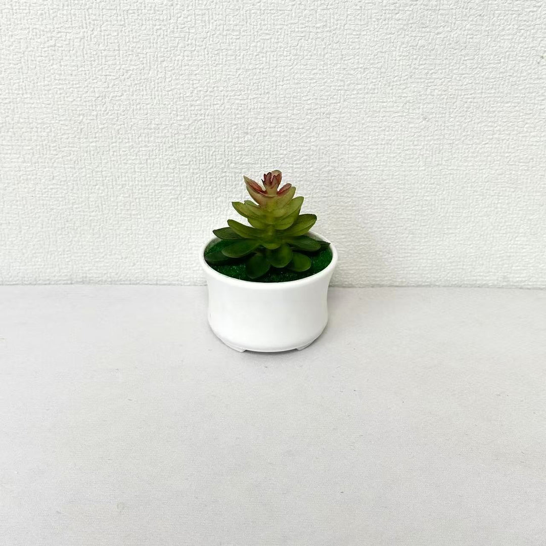 Levensechte Vetplant Arrangement