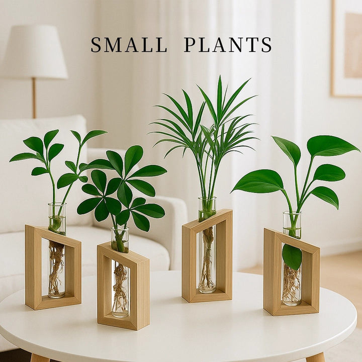 Elegante Glazen Plantenhouder Set voor Thuisdecoratie