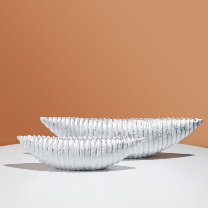 Moderne Decoratieve Schelp Vormige