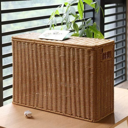 Decoratieve rieten opbergdoos