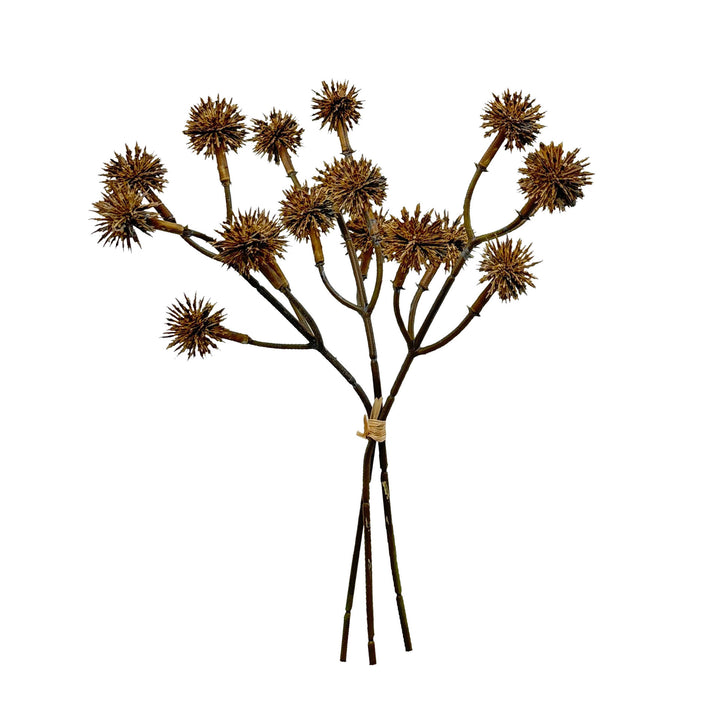 Natuurlijke Decoratieve Bloemstengel